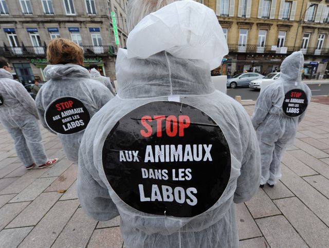 Manifestation contre l'expérimentation animale