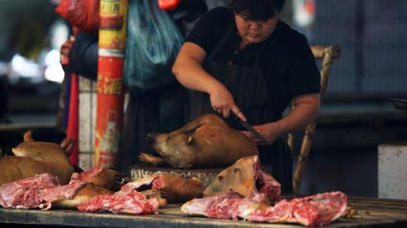 Festival de Yulin