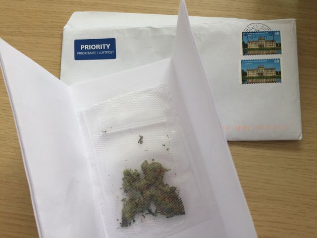 Cannabis