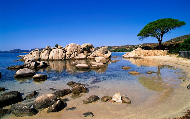 Corse