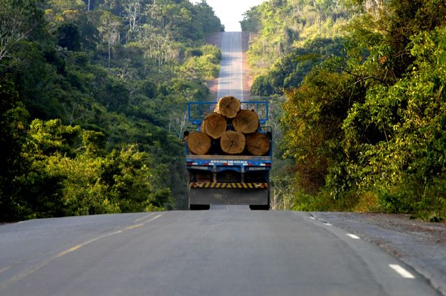 La déforestation en Amazonie brésilienne