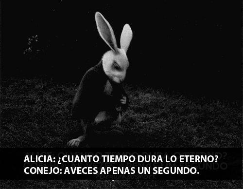 "Combien de temps dure l'internité ?"demanda Alice "À peine une seconde" répondit le lapin