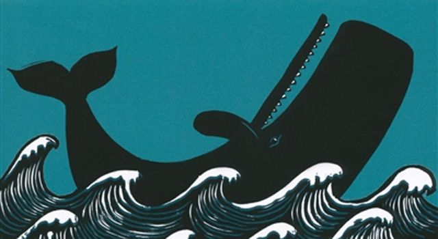 La baleine dans tout ces états