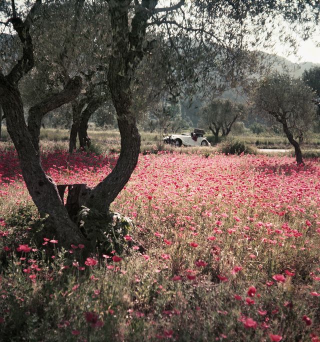 - Florette , Opio, avril 1960 (devant le tableau) Ektachrome 6x6