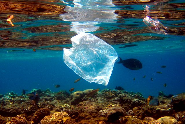 Pollution des océans