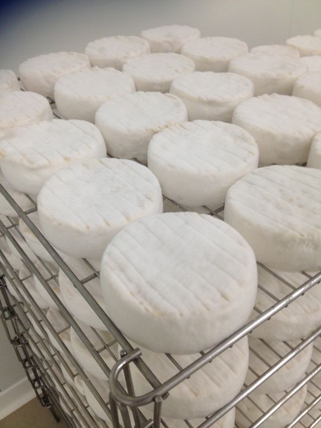 fromage