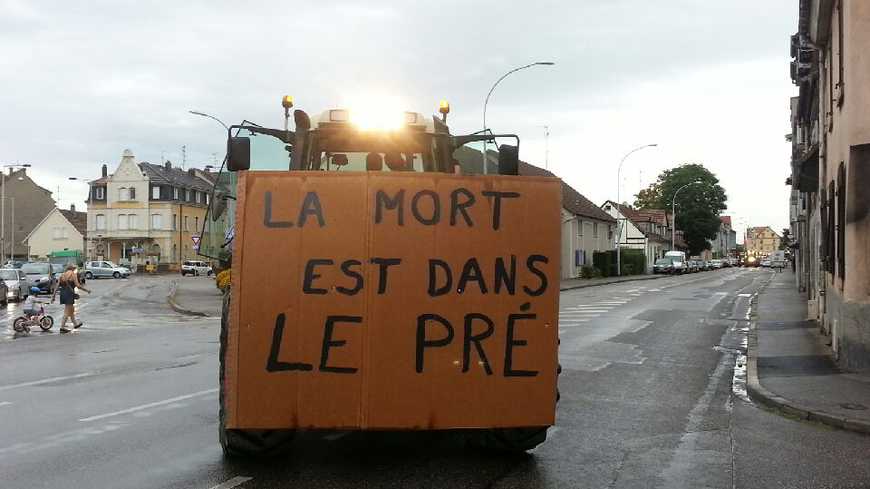 Manifestation des agriculteurs hauts-rhinois à Colmar, mardi 4 août.