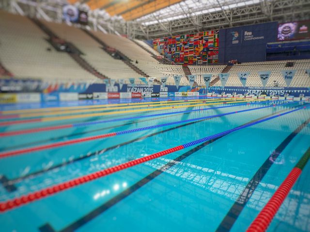 Retour en images sur les mondiaux de natation