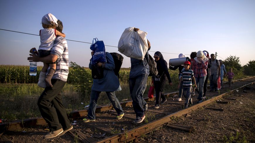 Des réfugiés syriens le long de la frontière serbo-hongroise, près du petit village de Horgos, 27 août 2015