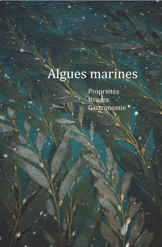 Algues marines