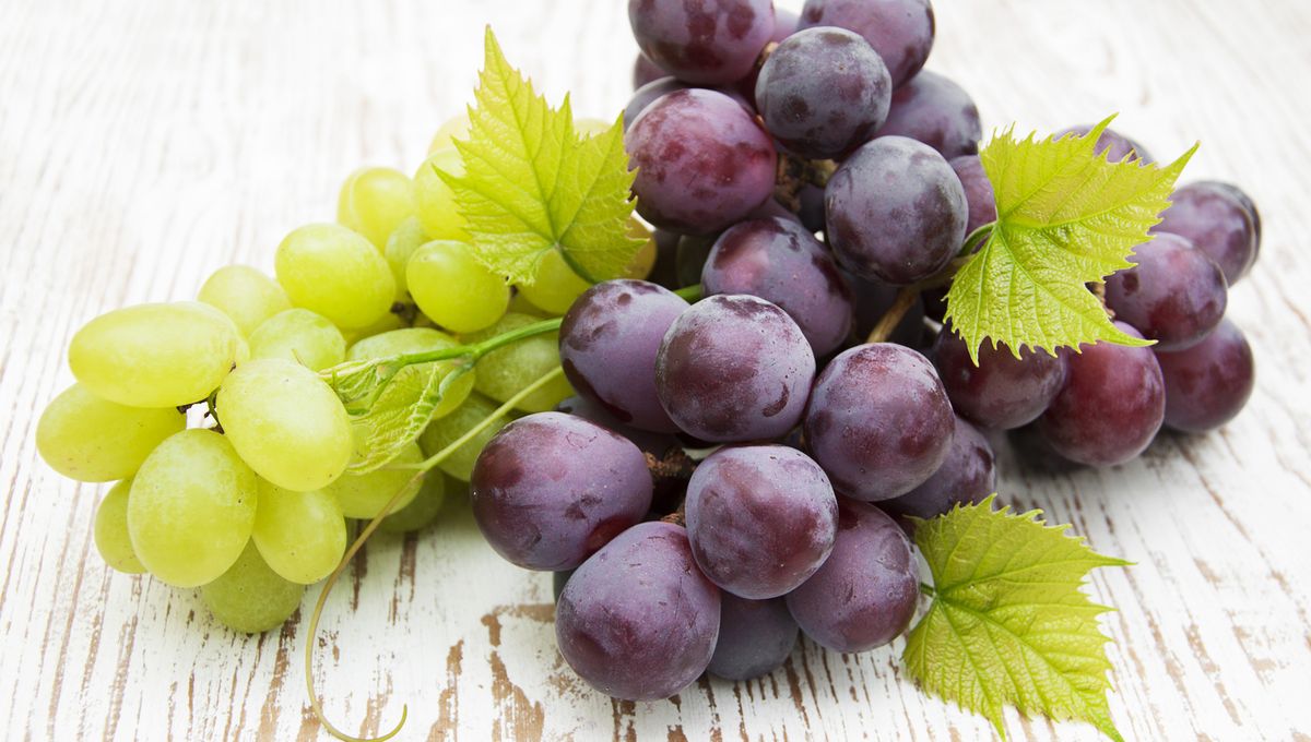 Le raisin, fruit de la vigne