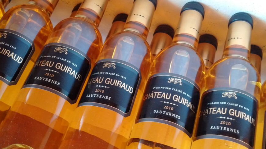 Le Château Guiraud possède un domaine de 100 hectares à Sauternes