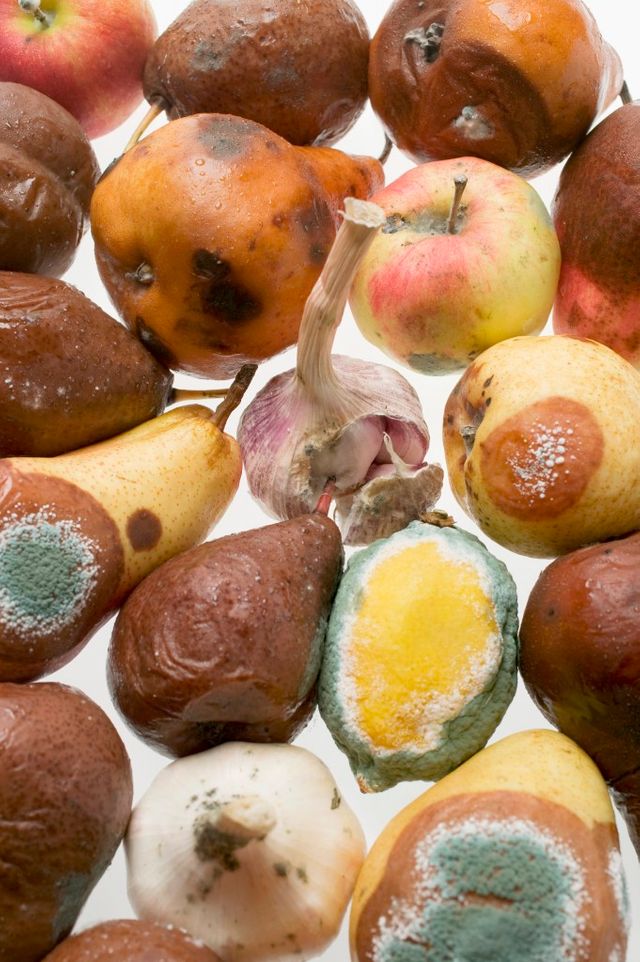 Fruits gâchés