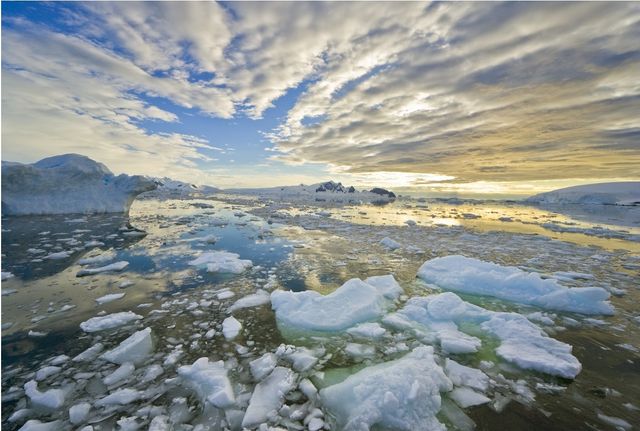 Réchauffement climatique