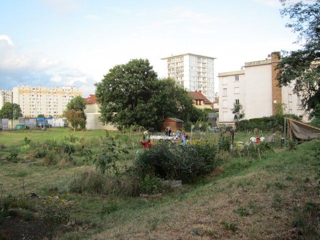 Les jardins sauvages d'Audra à Colombes