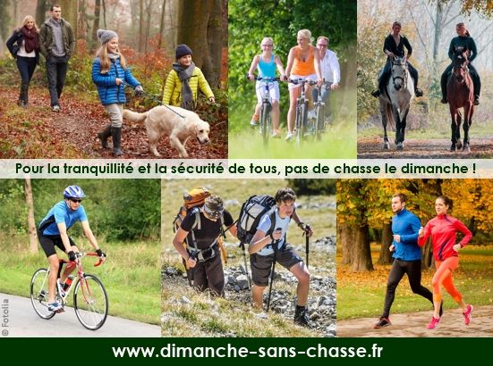 Des dimanches sans fusil