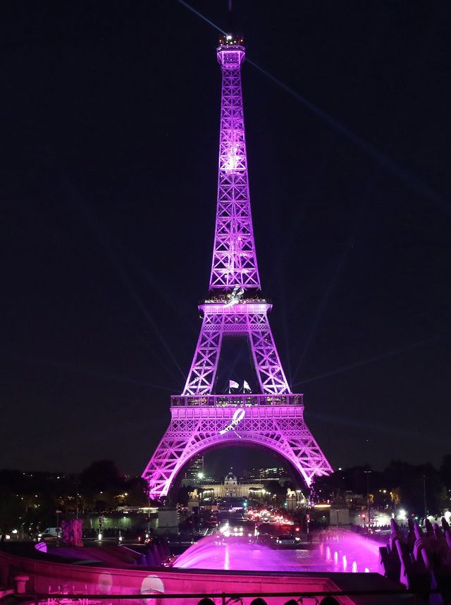 eiffel rose