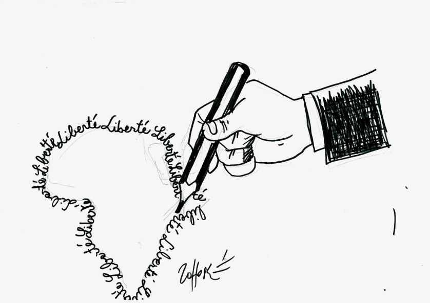 Cartooning for Peace : le dessin de presse dans tous ses états par Lassane Zohoré 4