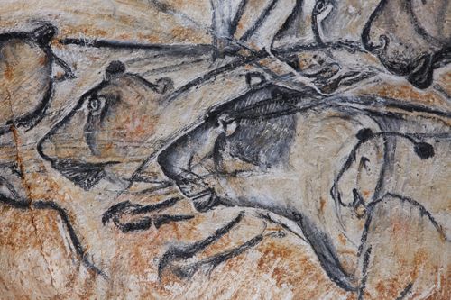 Chauvet 28 : Panneau des lions (détail)