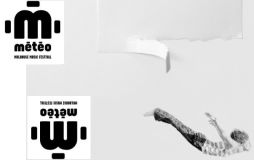 Montage affiche et logo Festival Météo Mulhouse 2015