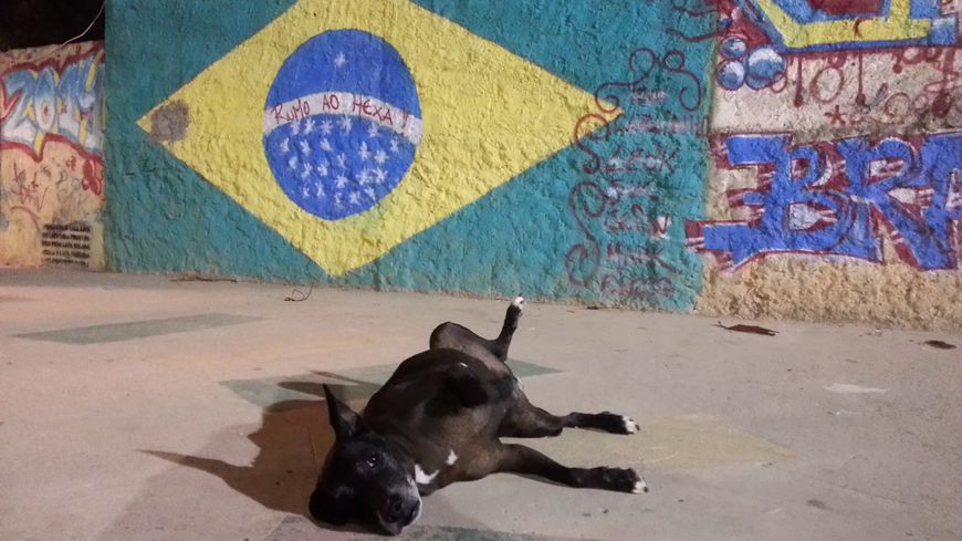 A Rio 7 © Benjamin Thuau