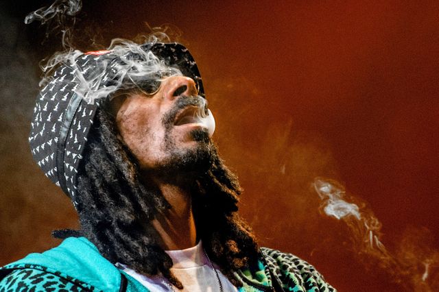 Snoop Dogg lance un site d'info sur le cannabis