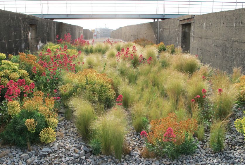 Jardins (toits base des sous-marin de Saint-Nazaire)