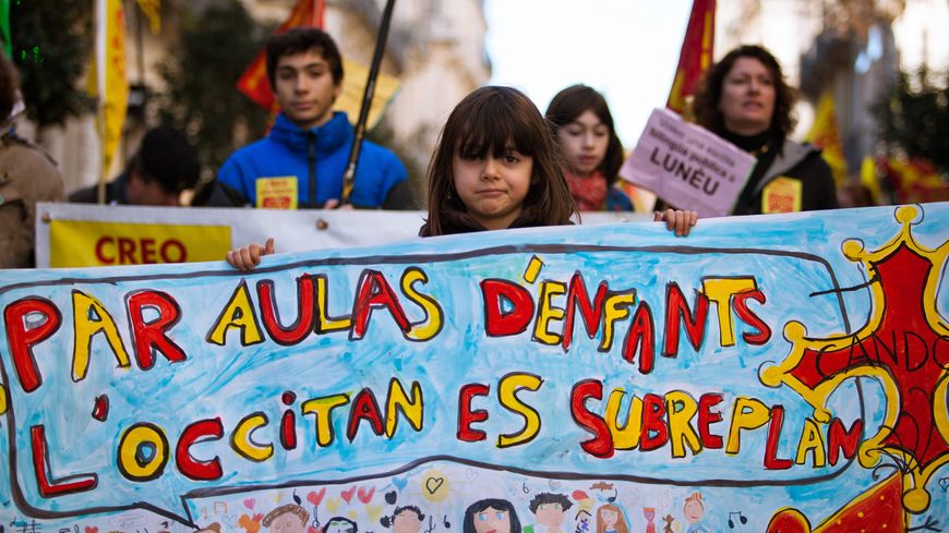 Manifestation en février 2013 à Montpellier en faveur de l'enseignement de l'Occitan
