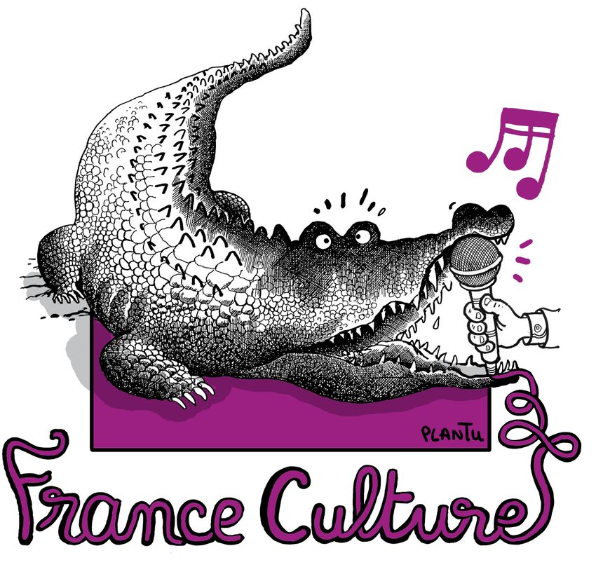 Le dessin de presse dans tous ses Etats sur France Culture