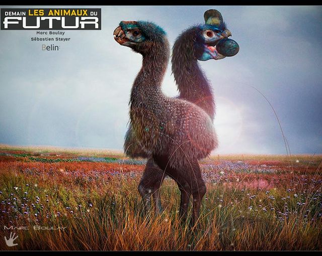 Neoviraptor