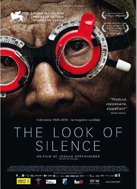 The look of silence