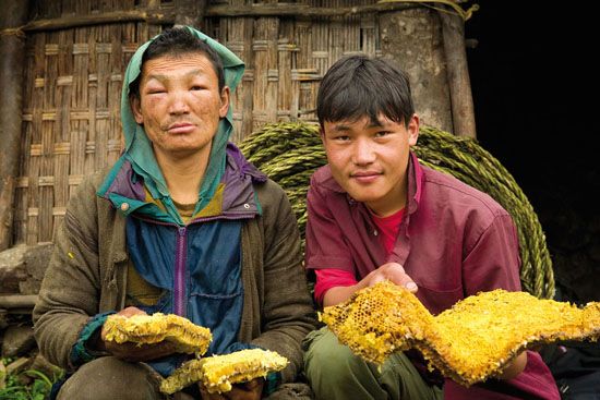 Les routes du miel. népal, district de Solukhumbu Vallèe de Bung