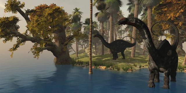 Deux Apatosaurus