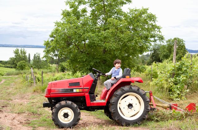 Enfant à la ferme