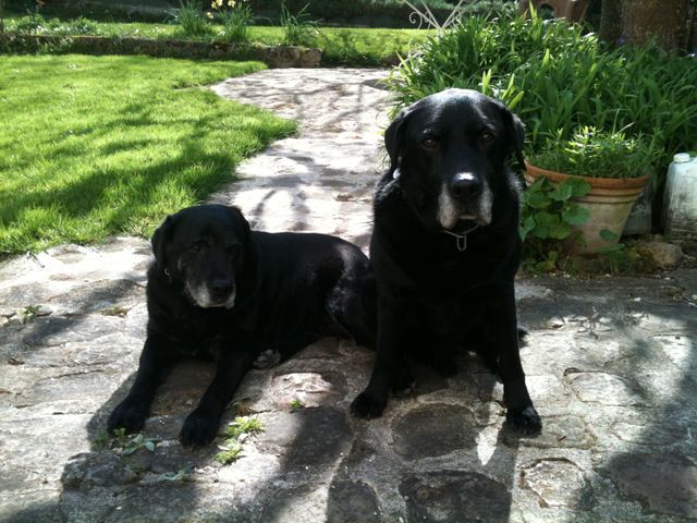 Sid &Tess