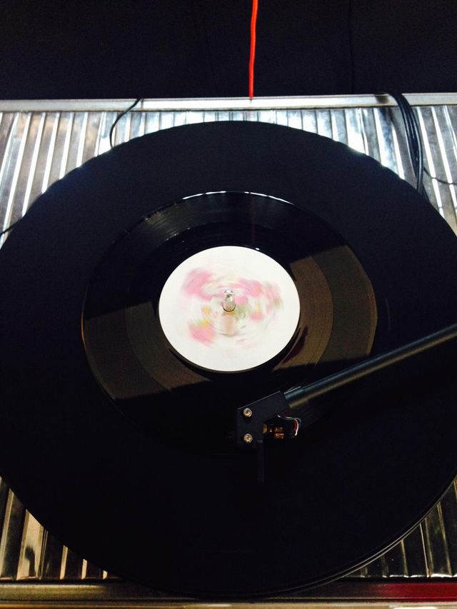 Ala.ni Vinyl