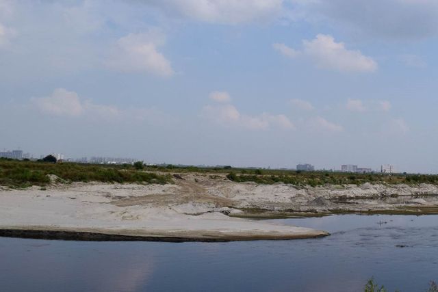 La rive de la rivière Yamuna a été creusée jusqu'à former ce coude. Les traces de camion sont bien visibles.