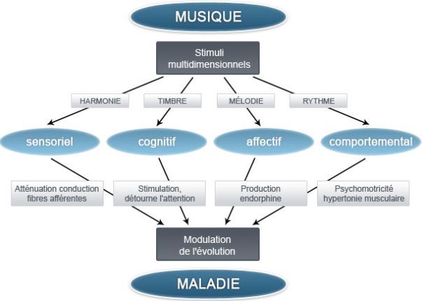 Le schéma de l'impact de la musique sur le cerveau