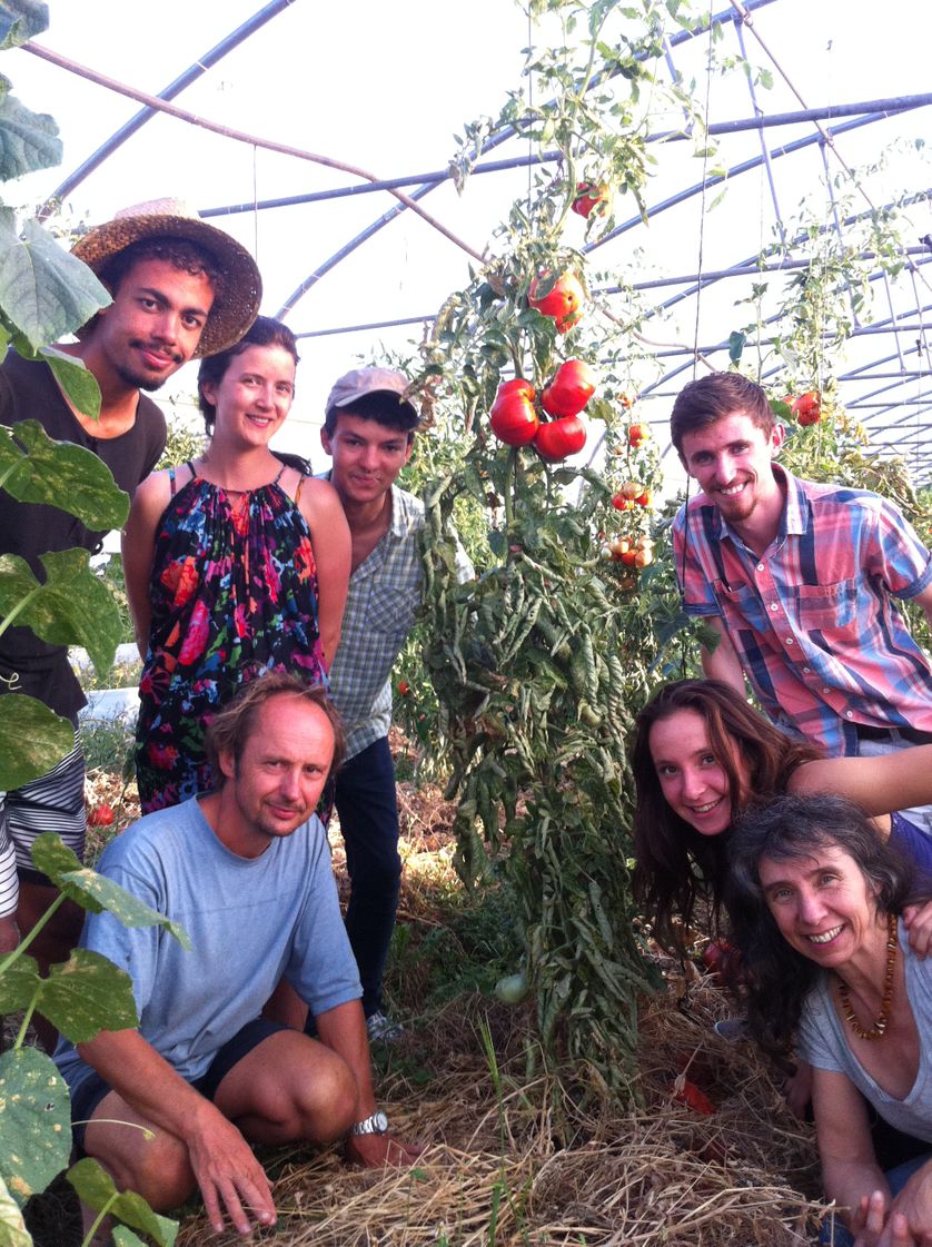 Wwoofing à la ferme du Guiraudet à Clairac