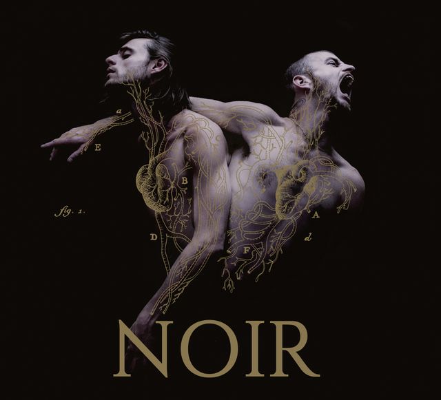 Noir - Heymoonshaker