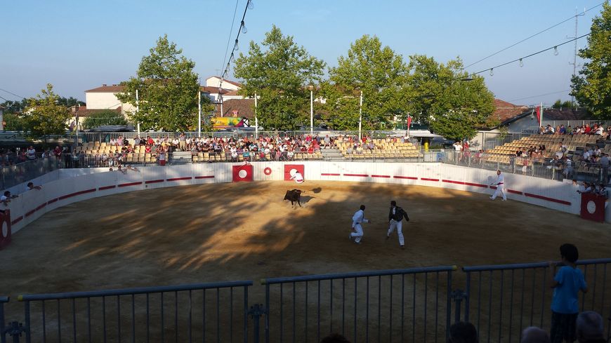 Course landaise