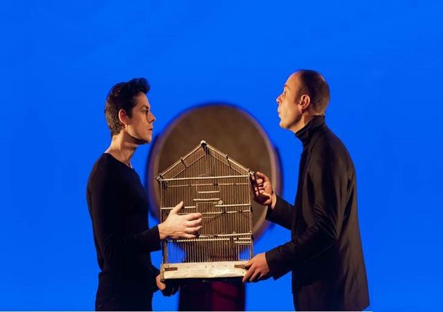 Les oiseaux Chanteurs