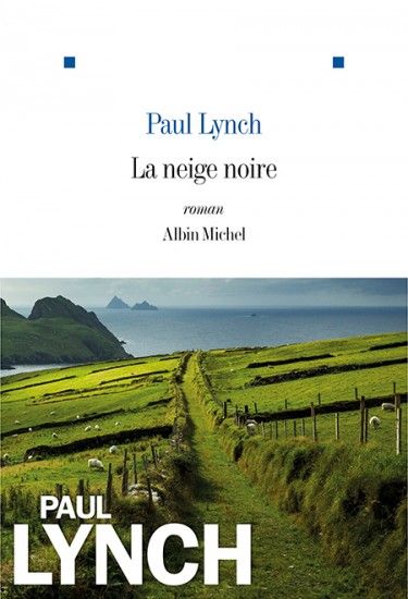 Paul Lynch - La neige noire