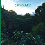 CD Antony Child Electronic Recordings from Maui Jungle