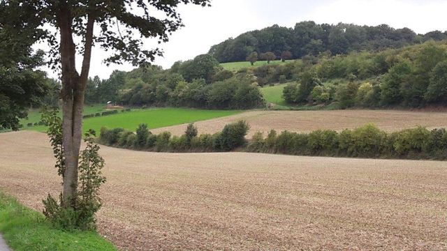 Magnicourt en Comté (Pas de Calais)
