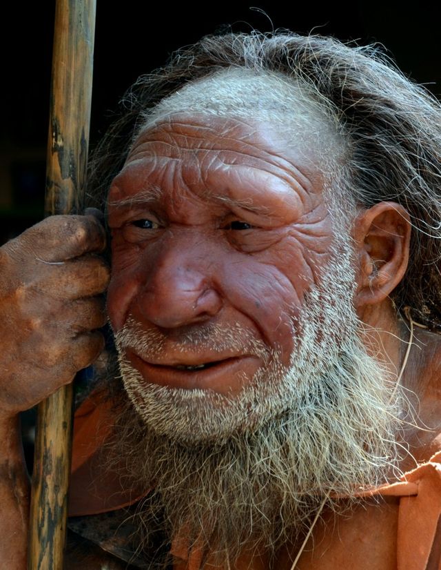 Reconstitution de l'homme de Neandertal
