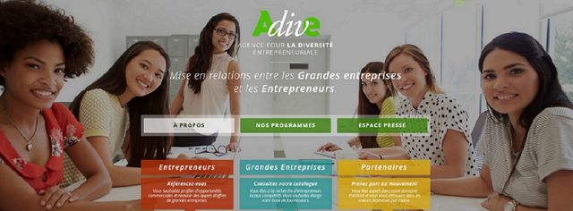 Capture d'écran de la page d'accueil de l'ADIVE, Agence pour la Diversité Entrepreneuriale