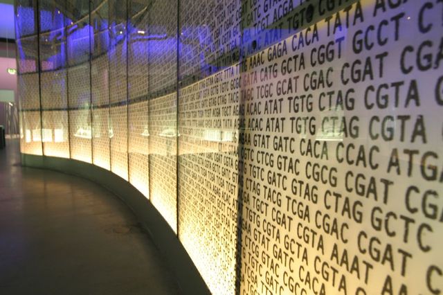 Séquence ADN au Science Museum de Londres