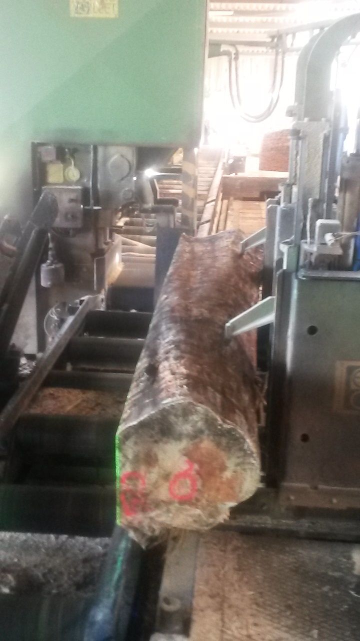 La filière bois, la scierie Crouzet à Rouffignac