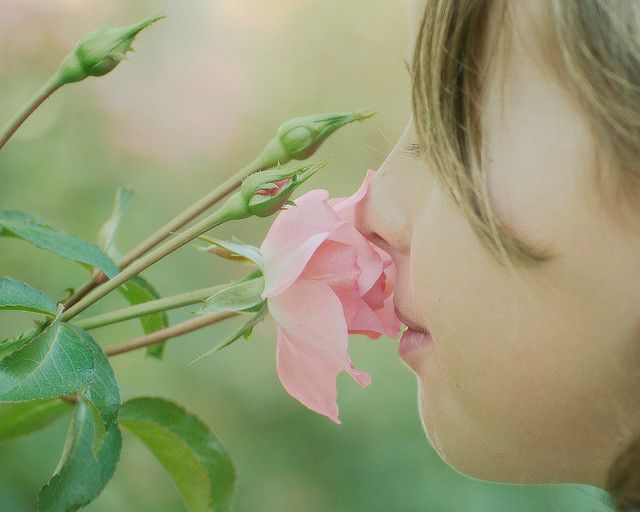 Don't Forget to Stop and Smell the Roses